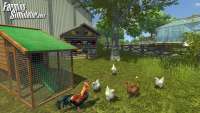 Pegar download no gallina para farming Simulator 2013