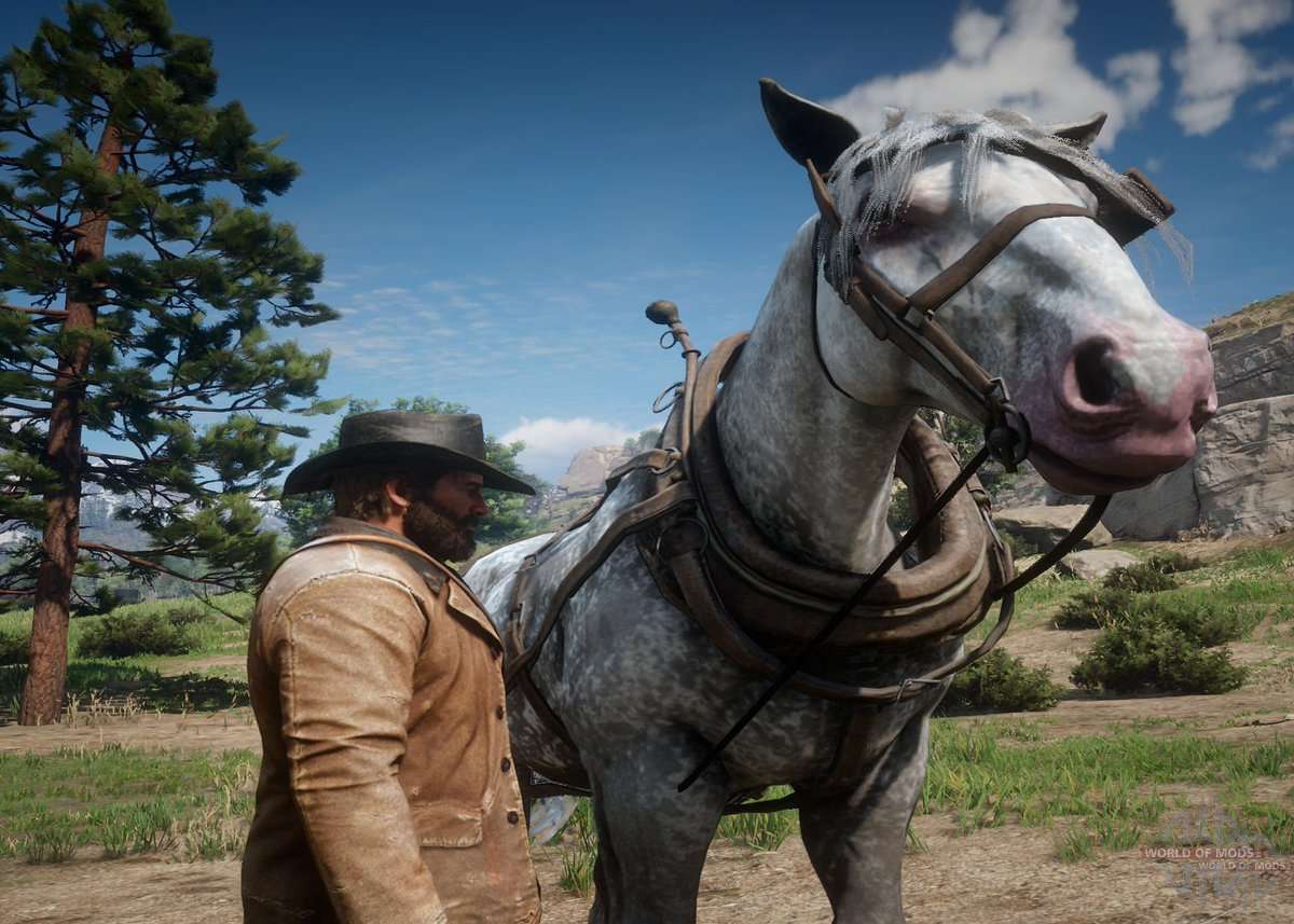 Red Dead Redemption 2: jogadores poderão conquistar a lealdade dos cavalos  e terão escolhas a fazer 