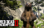 Red Dead Redemption 2: matar o urso