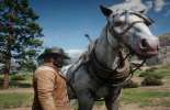 Red Dead Redemption 2: como limpar um cavalo