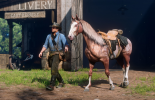 Cavalo em Red Dead Redemption 2: como treinar o