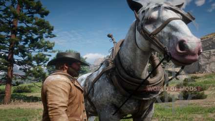 Como escovar um cavalo em Red Dead Redemption 2 – dicas de cuidados